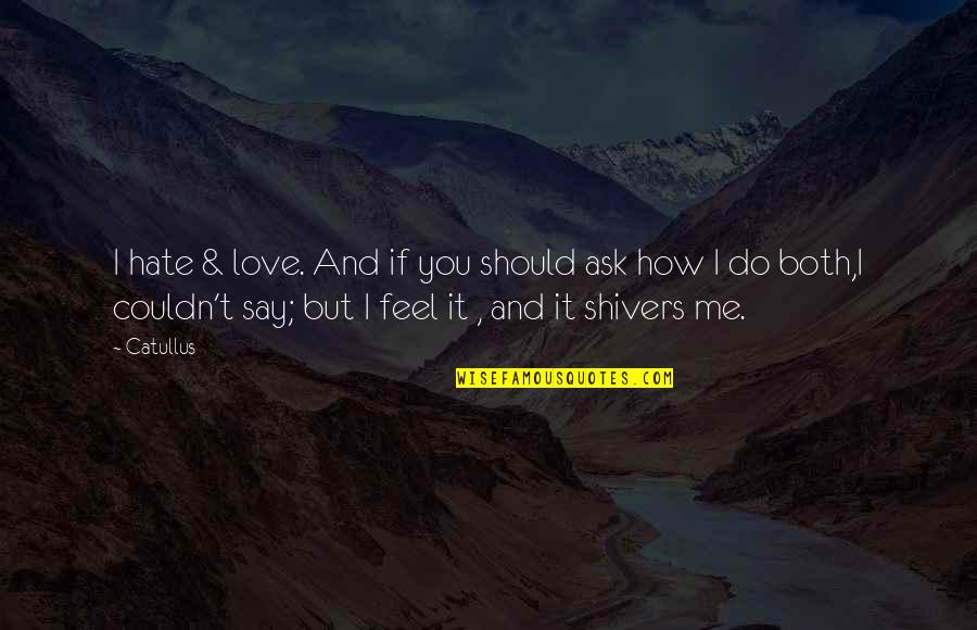 How Do You Feel Quotes By Catullus: I hate & love. And if you should