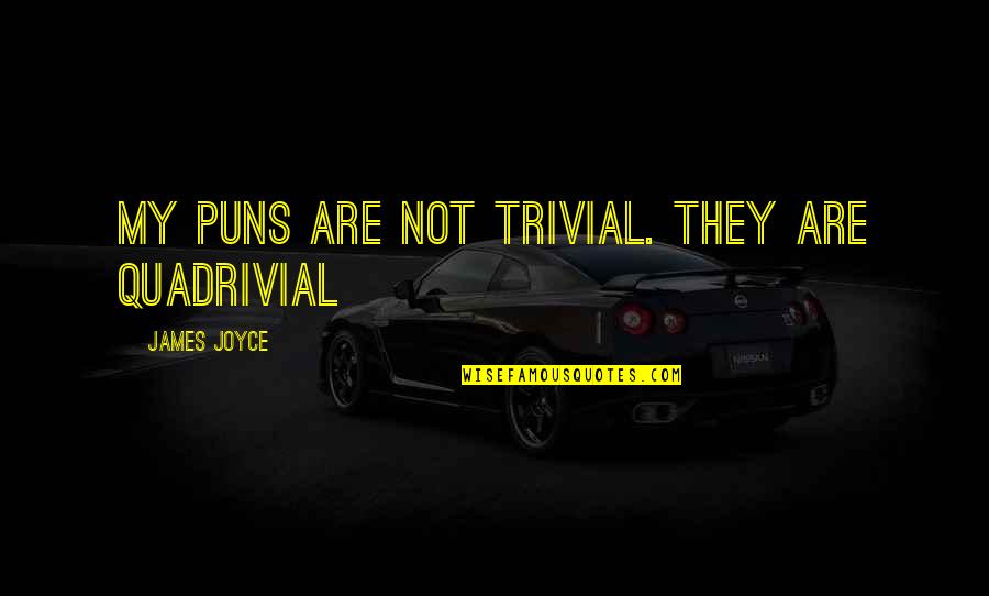 How Do You Put Dialogue In A Quote Quotes By James Joyce: My puns are not trivial. They are quadrivial How Do You Put Dialogue In A Quote Quotes By James Joyce: My puns are not trivial. They are quadrivial