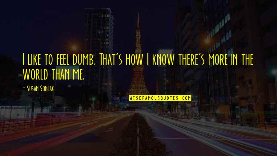 How Dumb Am I Quotes By Susan Sontag: I like to feel dumb. That's how I