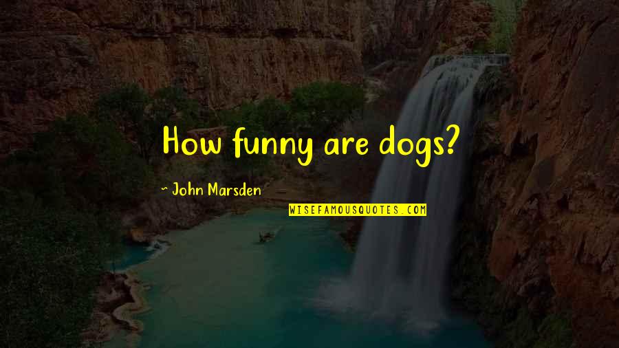 How Funny Quotes By John Marsden: How funny are dogs?