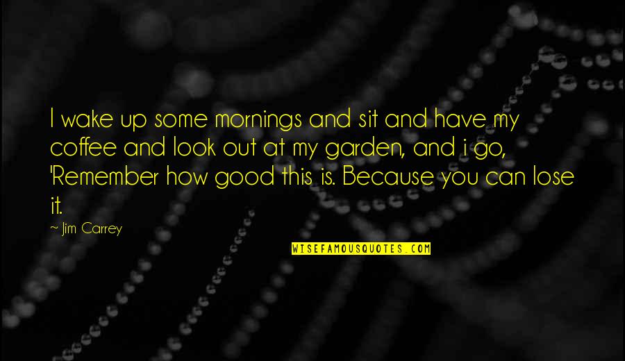 How Good You Have It Quotes By Jim Carrey: I wake up some mornings and sit and