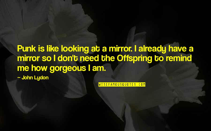 How Gorgeous You Are Quotes By John Lydon: Punk is like looking at a mirror. I