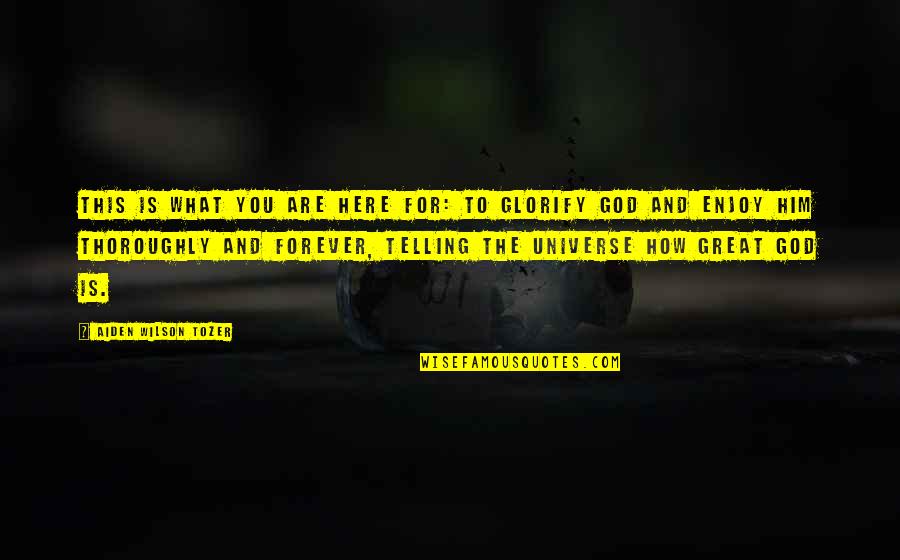 How Great Is God Quotes By Aiden Wilson Tozer: This is what you are here for: to How Great Is God Quotes By Aiden Wilson Tozer: This is what you are here for: to
