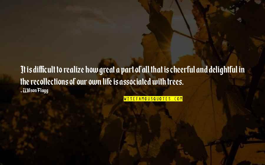 How Great Life Is Quotes By Wilson Flagg: It is difficult to realize how great a