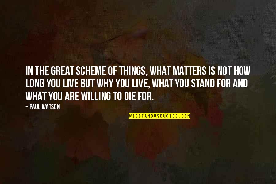 How Great You Are Quotes By Paul Watson: In the great scheme of things, what matters