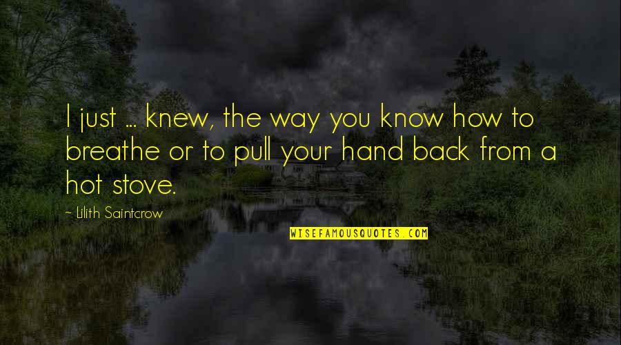 How Hot Quotes By Lilith Saintcrow: I just ... knew, the way you know