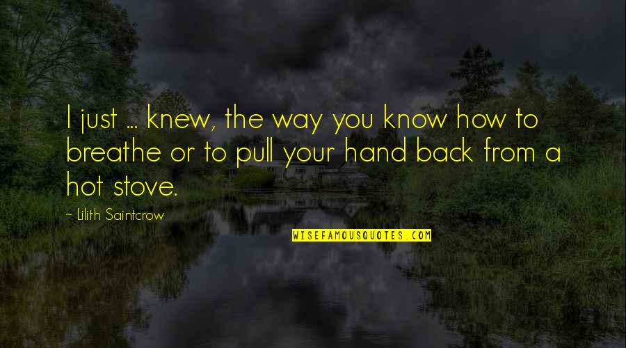 How Hot You Are Quotes By Lilith Saintcrow: I just ... knew, the way you know