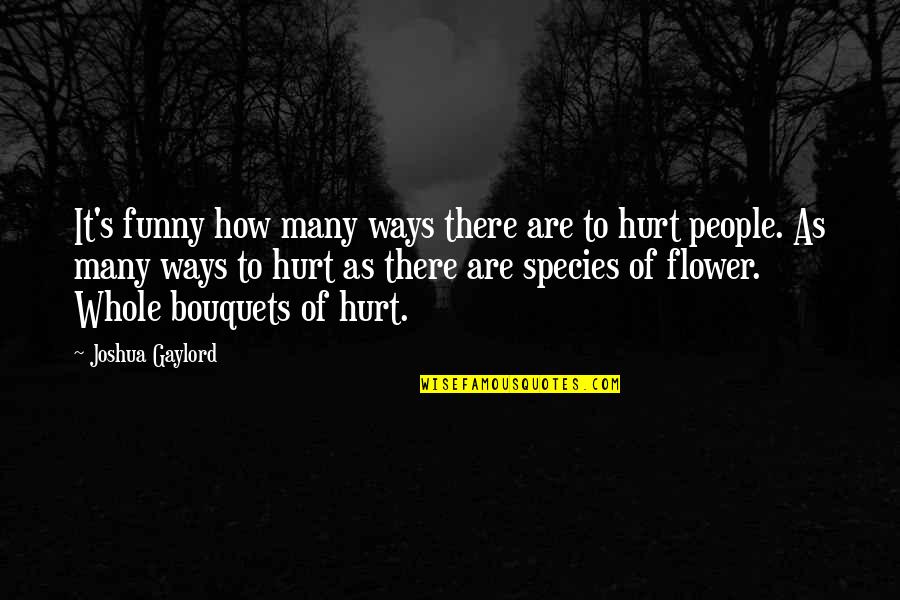 How Hurt I Am Quotes By Joshua Gaylord: It's funny how many ways there are to