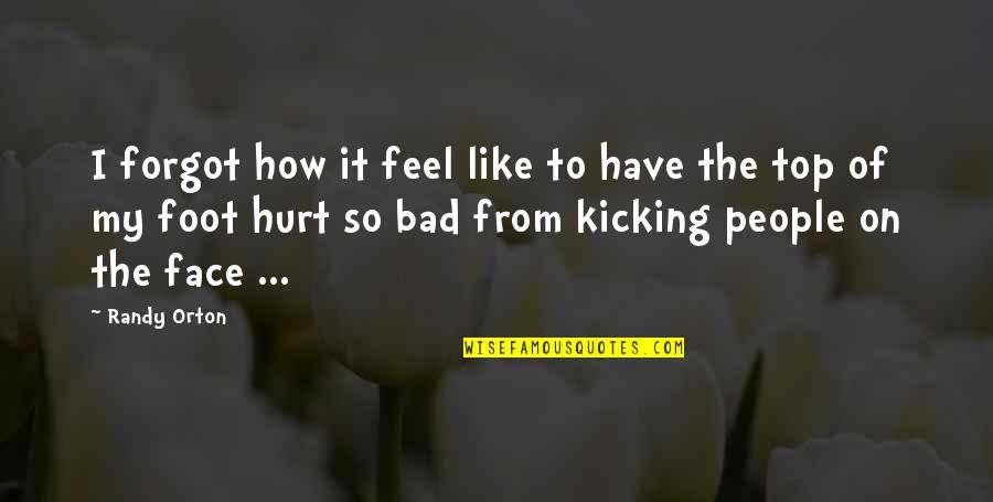 How Hurt I Am Quotes By Randy Orton: I forgot how it feel like to have