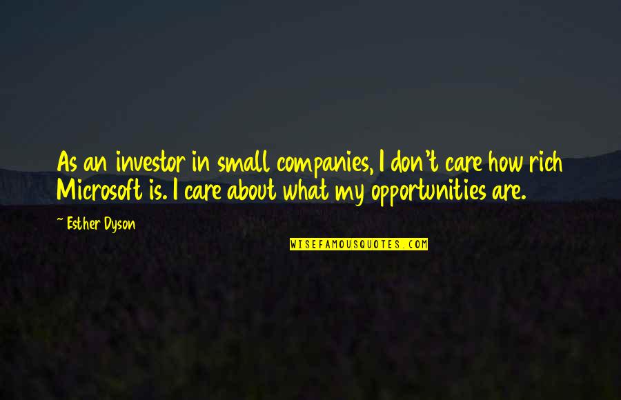 How I Care About You Quotes By Esther Dyson: As an investor in small companies, I don't