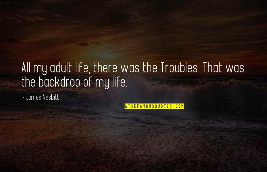 How I Feel When I See You Quotes By James Nesbitt: All my adult life, there was the Troubles.