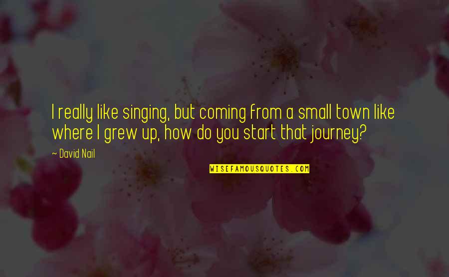 How I Grew Up Quotes By David Nail: I really like singing, but coming from a