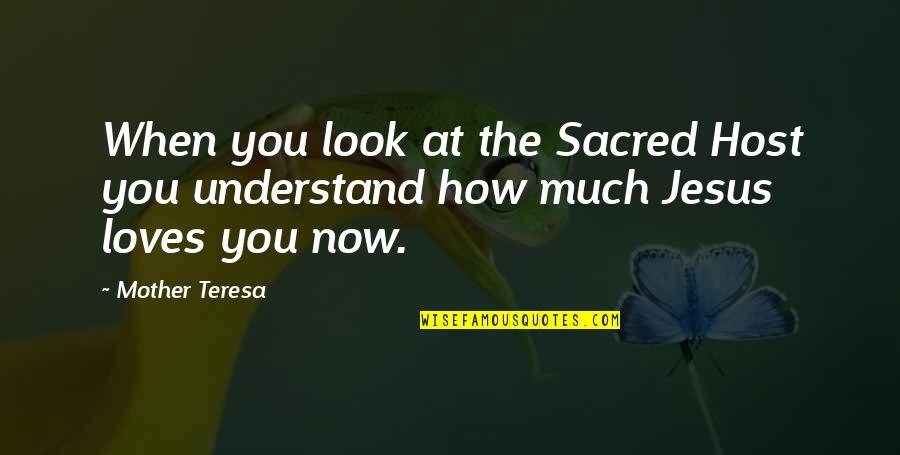How I Love Jesus Quotes By Mother Teresa: When you look at the Sacred Host you