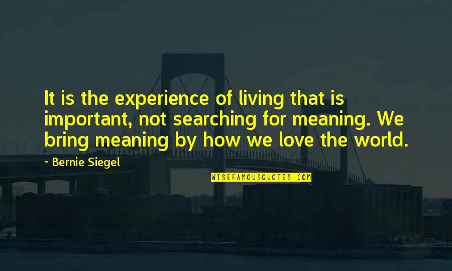 How Important Is Love Quotes By Bernie Siegel: It is the experience of living that is