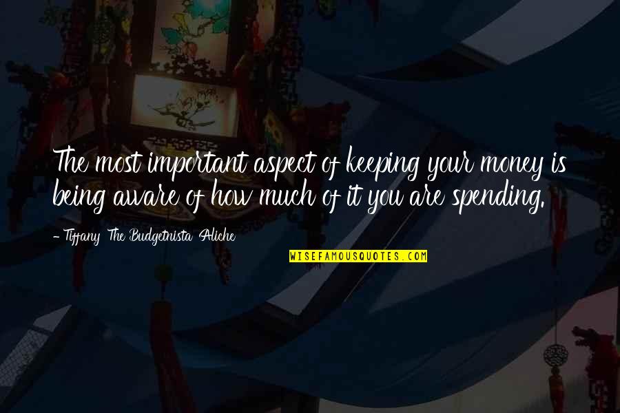 How Important You Are Quotes By Tiffany 'The Budgetnista' Aliche: The most important aspect of keeping your money