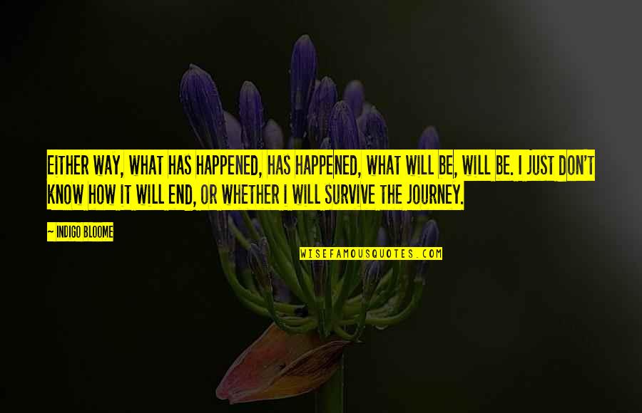 How It Happened Quotes By Indigo Bloome: Either way, what has happened, has happened, what