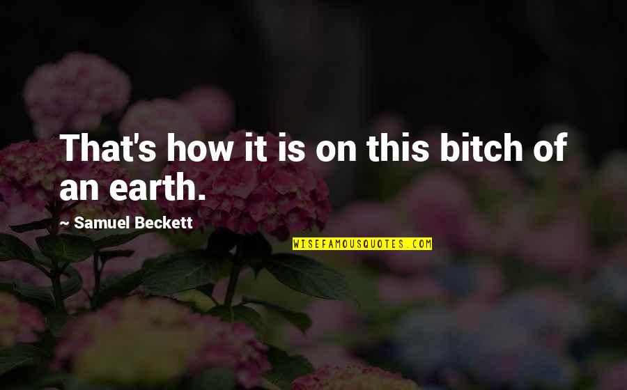 How It Is Beckett Quotes By Samuel Beckett: That's how it is on this bitch of