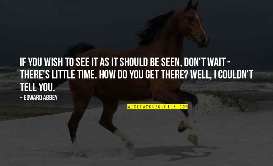 How It Should Be Quotes By Edward Abbey: If you wish to see it as it