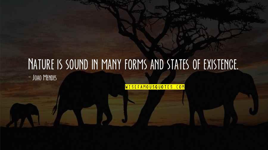 How Life Changes In An Instant Quotes By Joao Mendes: Nature is sound in many forms and states