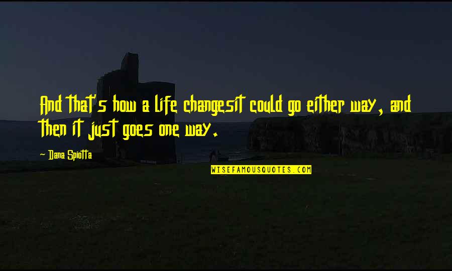 How Life Goes On Quotes By Dana Spiotta: And that's how a life changesit could go