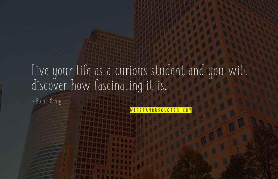 How Live Life Quotes By Elena Ornig: Live your life as a curious student and
