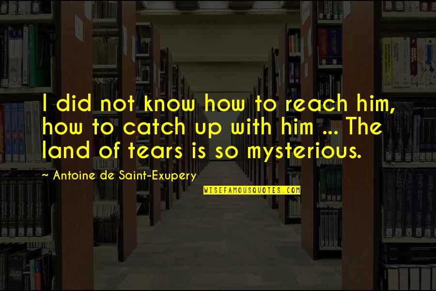 How Many Tears Quotes By Antoine De Saint-Exupery: I did not know how to reach him,
