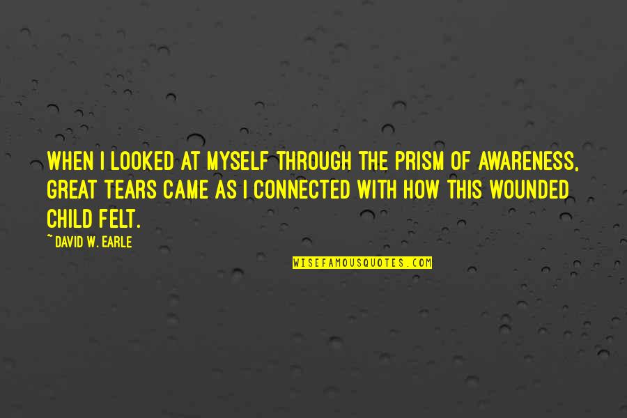 How Many Tears Quotes By David W. Earle: When I looked at myself through the prism