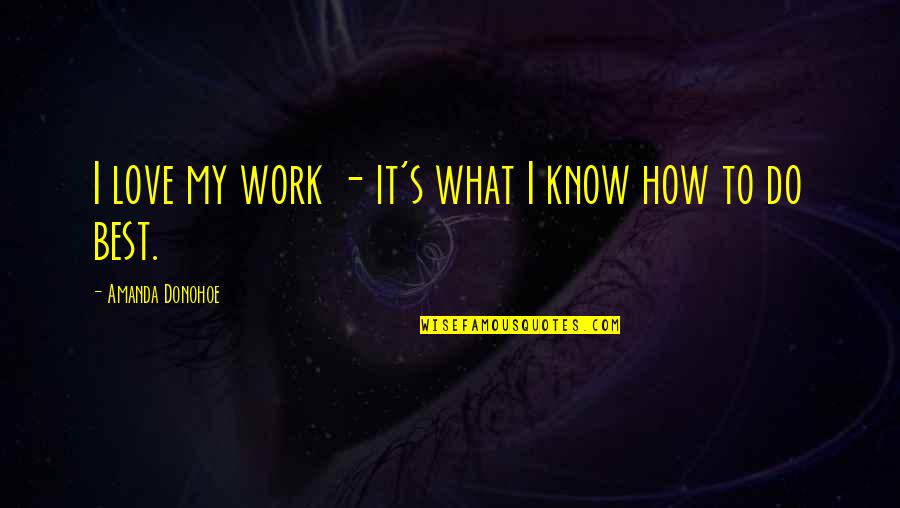 How Much Do I Love U Quotes By Amanda Donohoe: I love my work - it's what I How Much Do I Love U Quotes By Amanda Donohoe: I love my work - it's what I