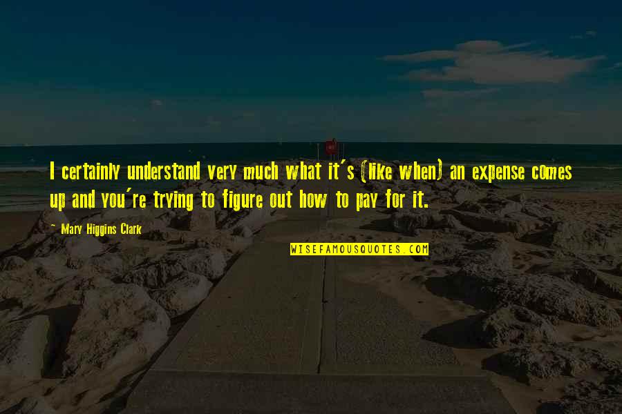 How Much I Like You Quotes By Mary Higgins Clark: I certainly understand very much what it's (like