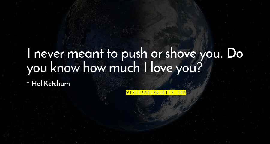 How Much I Love You Love Quotes By Hal Ketchum: I never meant to push or shove you.