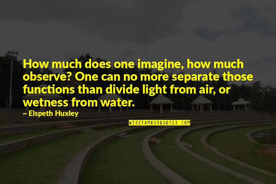 How Much More Quotes By Elspeth Huxley: How much does one imagine, how much observe?