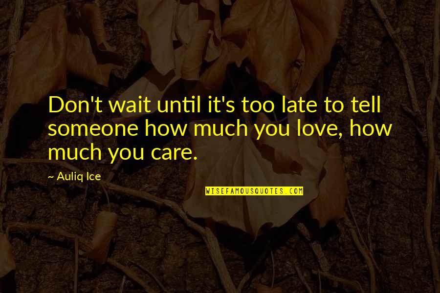 How Much You Care For Someone Quotes By Auliq Ice: Don't wait until it's too late to tell