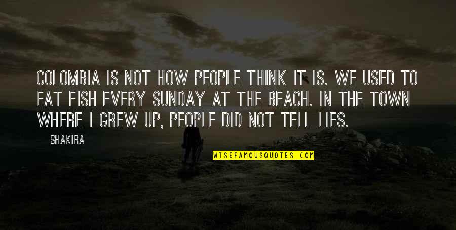 How Not To Eat Quotes By Shakira: Colombia is not how people think it is.
