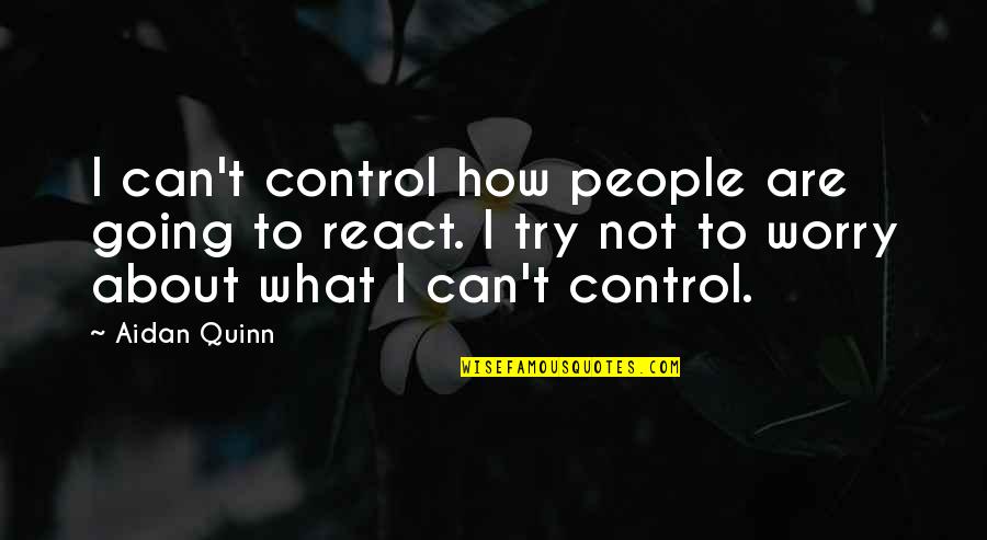 How Not To Worry Quotes By Aidan Quinn: I can't control how people are going to