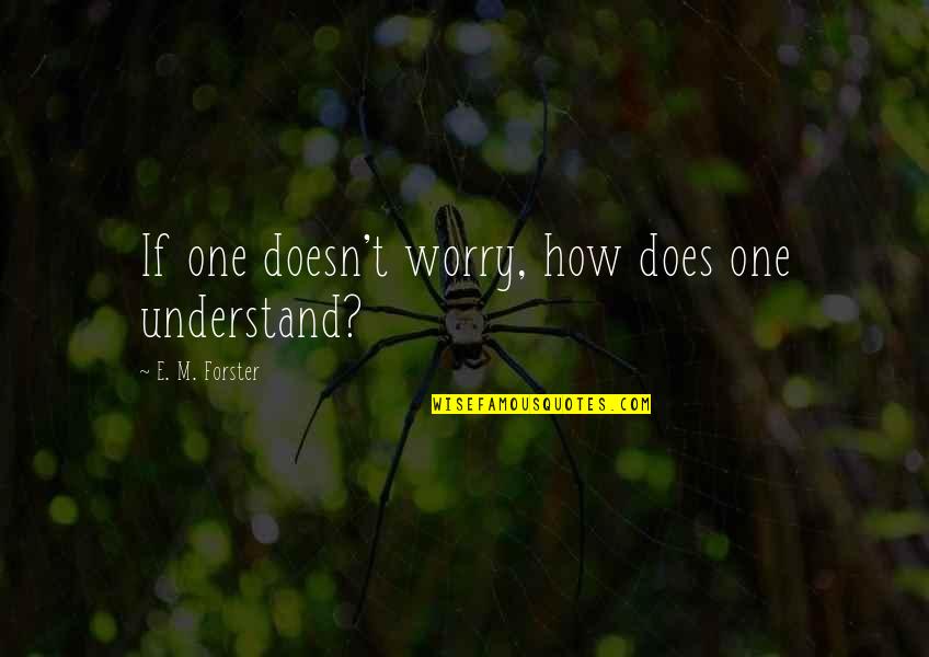 How Not To Worry Quotes By E. M. Forster: If one doesn't worry, how does one understand?