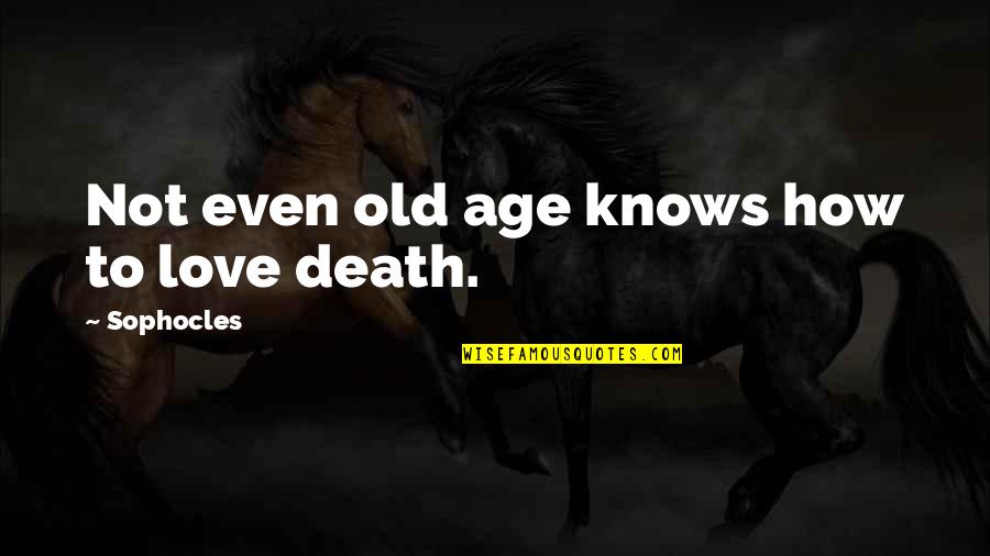 How Old Quotes By Sophocles: Not even old age knows how to love