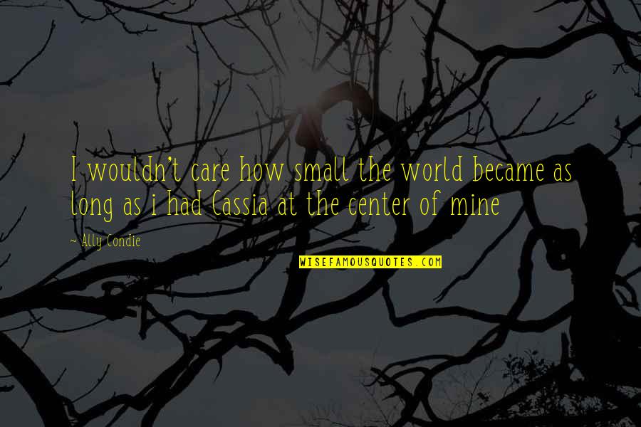 How Small We Are In The World Quotes By Ally Condie: I wouldn't care how small the world became