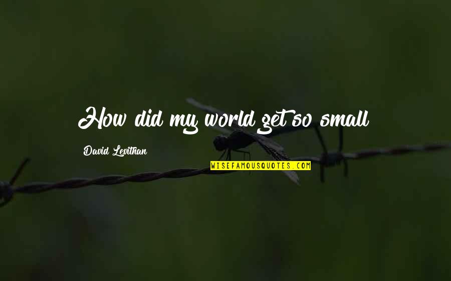 How Small We Are In The World Quotes By David Levithan: How did my world get so small?