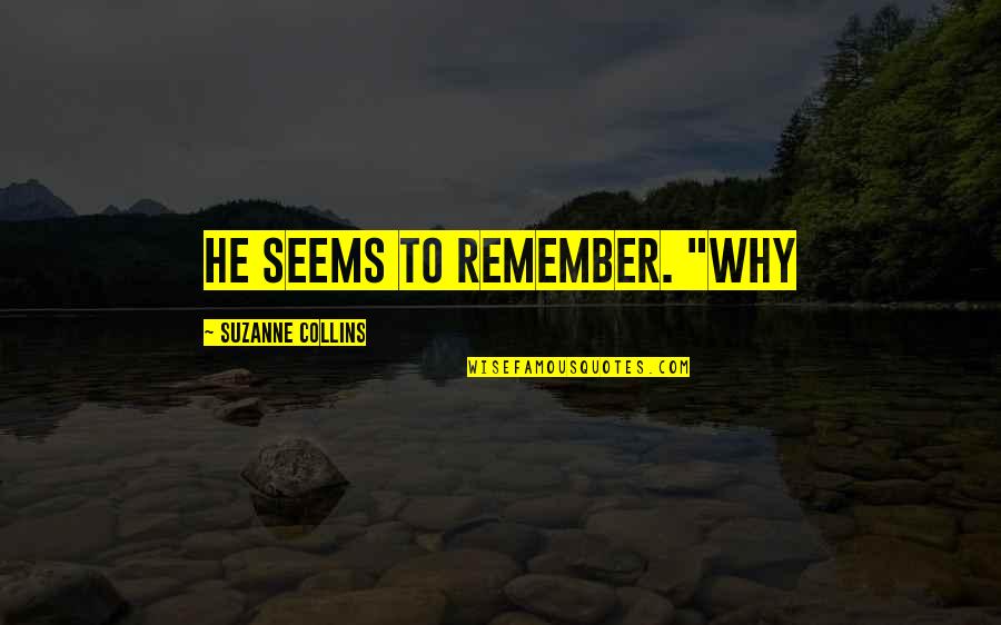 How Special Someone Is Quotes By Suzanne Collins: He seems to remember. "Why How Special Someone Is Quotes By Suzanne Collins: He seems to remember. "Why