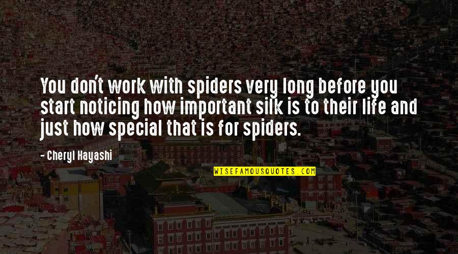 How Special You Are Quotes By Cheryl Hayashi: You don't work with spiders very long before