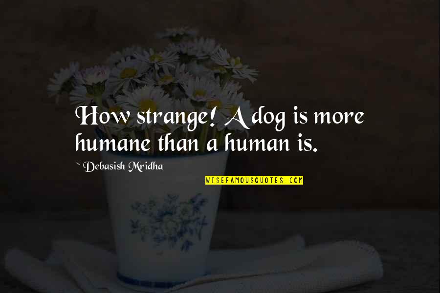 How Strange Is Life Quotes By Debasish Mridha: How strange! A dog is more humane than