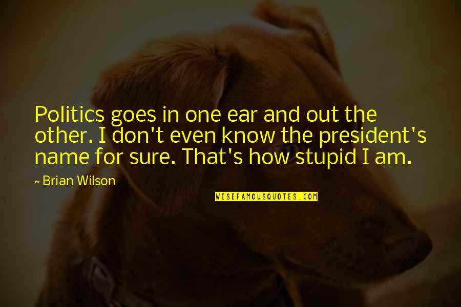 How Stupid I Am Quotes By Brian Wilson: Politics goes in one ear and out the