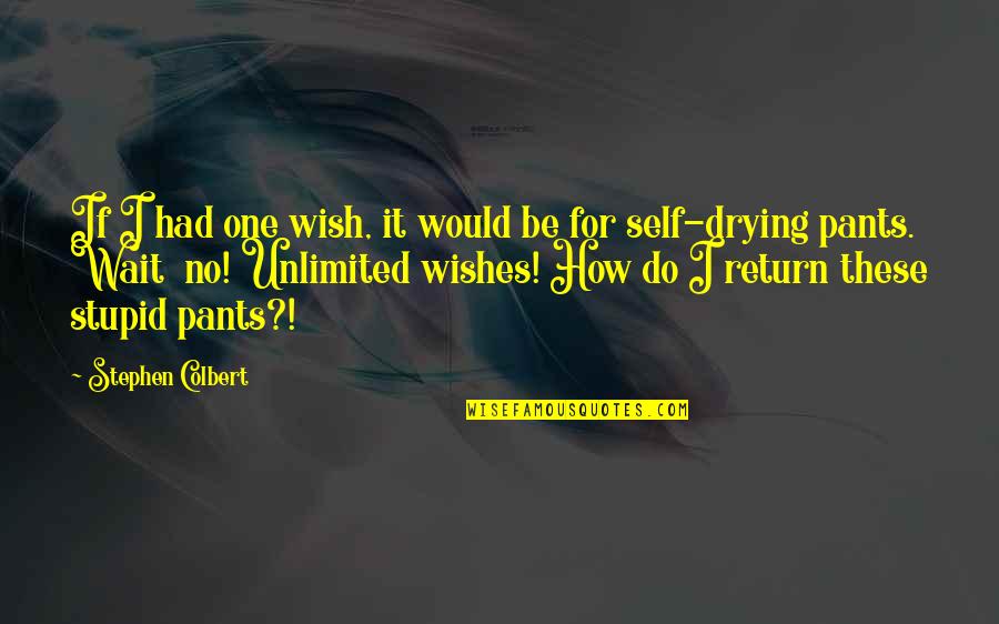 How Stupid I Am Quotes By Stephen Colbert: If I had one wish, it would be