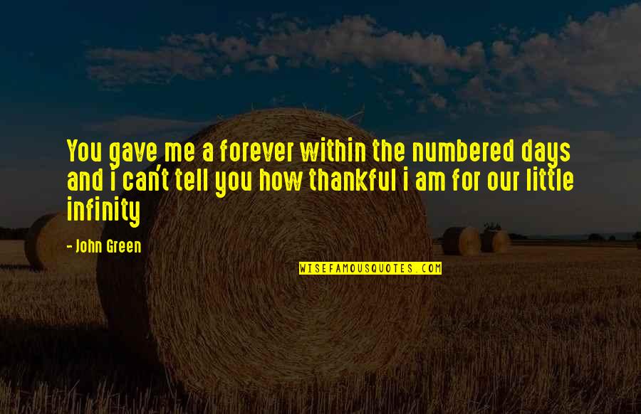 How Thankful I Am Quotes By John Green: You gave me a forever within the numbered