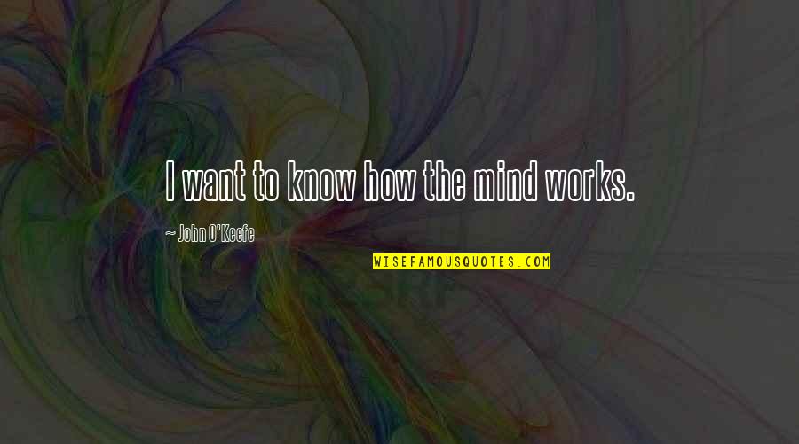 How The Mind Works Quotes By John O'Keefe: I want to know how the mind works.