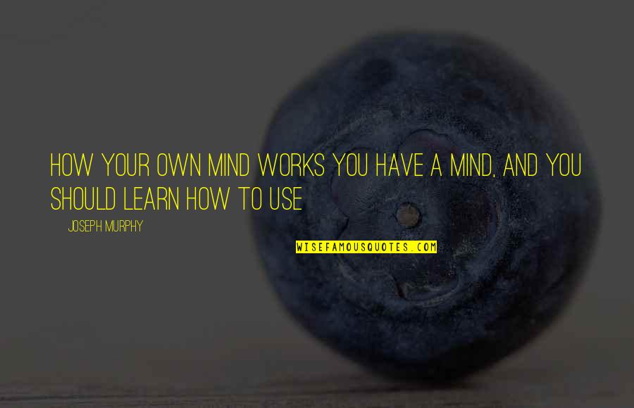 How The Mind Works Quotes By Joseph Murphy: How Your Own Mind Works You have a
