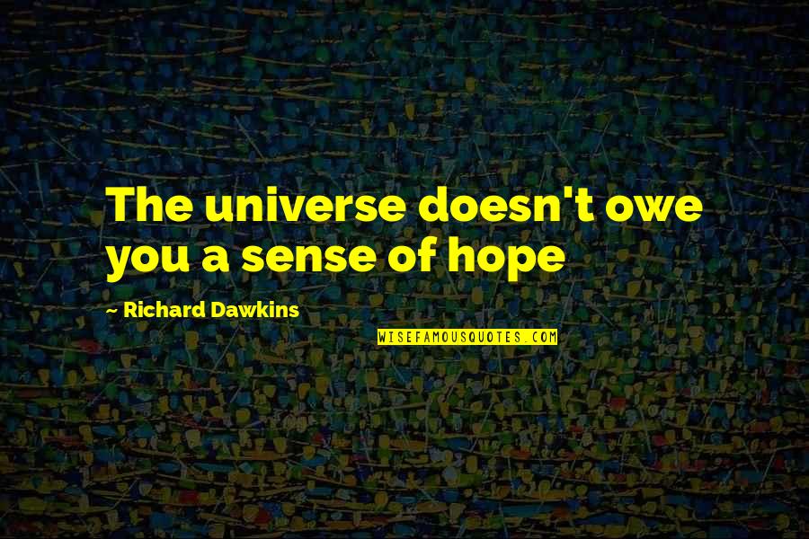 How The World Sees You Quotes By Richard Dawkins: The universe doesn't owe you a sense of