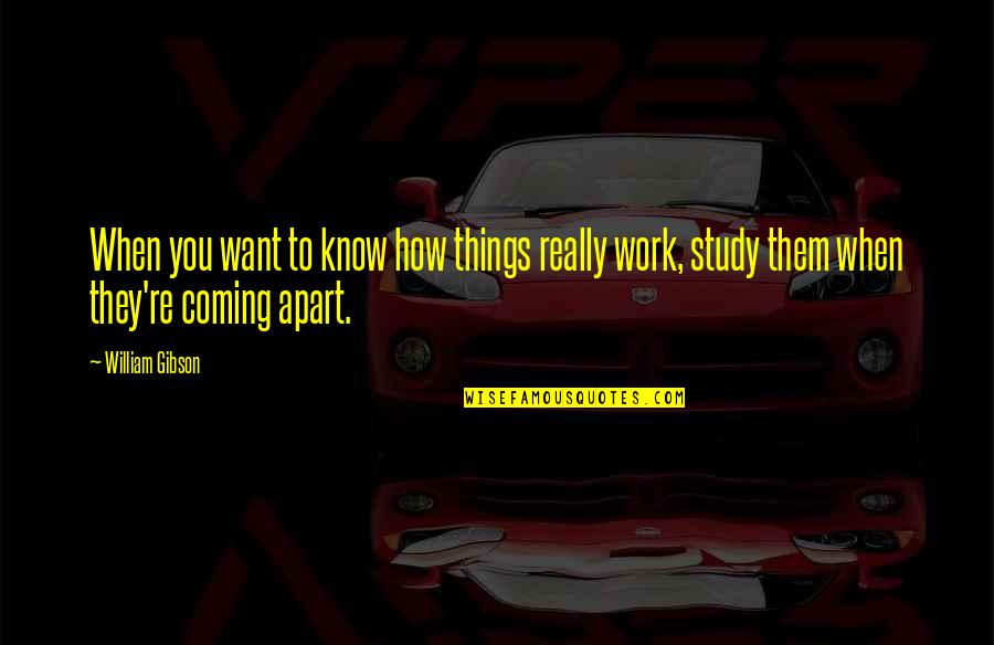 How Things Work Out Quotes By William Gibson: When you want to know how things really