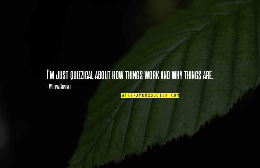 How Things Work Out Quotes By William Shatner: I'm just quizzical about how things work and