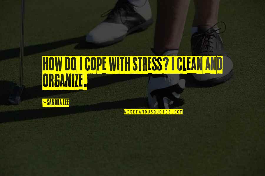How To Cope Quotes By Sandra Lee: How do I cope with stress? I clean